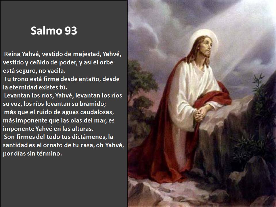 Salmos De La Biblia Catolica.